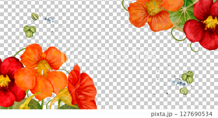 Nasturtium Flowers Depicted in an Elegant Watercolor rectangular frame 127690534
