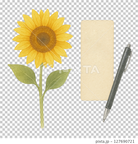 水彩風　ひまわりとメモとペンのイラスト 127690721