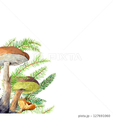 Corner frame of fir branches and mushrooms. Watercolor handmade elements. For fabric, wallpaper, packing paper, greeting cards, design, decoration and illustration. 127691060