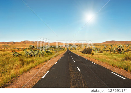 Road leading from Ranohira to town Ilakaka, small bushes and palm trees on sides, hills in distance - typical Madagascar landscape Road leading from Ranohira to town Ilakaka, small bushes and palm trees on sides, hills in distance - typical Madagascar landscape 127691174