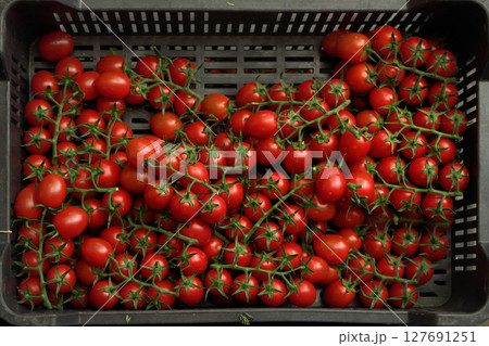 Heap of small cherry red tomatoes in plastic container displayed at food market, view from above 127691251