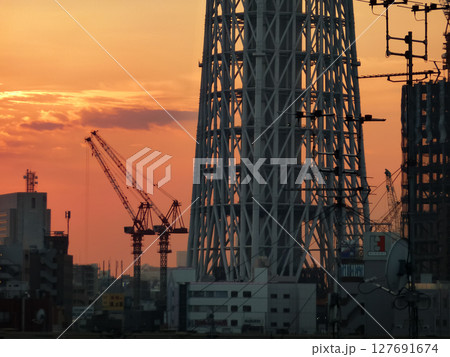 東京　墨田区　建設中の東京スカイツリータウン　2010年09月 127691674