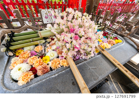 下谷神社の花手水 3月 127691799