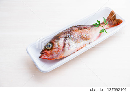 内臓と鱗を取ったメバル 焼き魚用 内臓と鱗を取ったメバル 焼き魚用 127692101