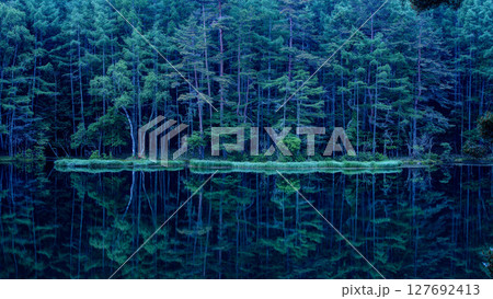 早朝の御射鹿池 127692413