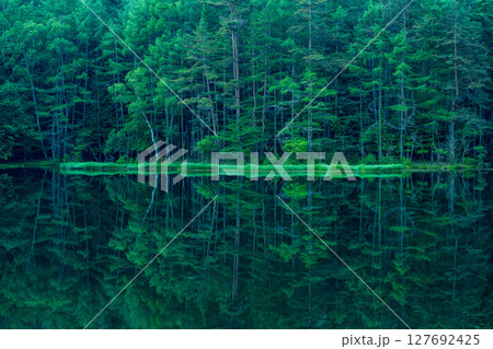 早朝の御射鹿池 127692425