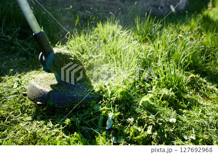 A lawn trimmer is cutting grass in a backyard on a sunny afternoon. 127692968
