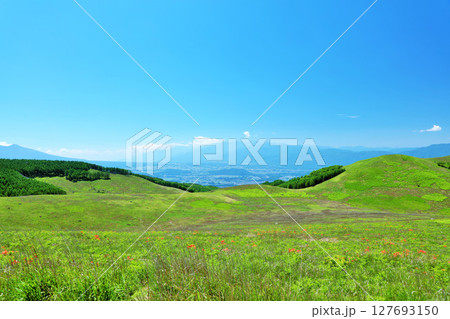 長野県　青空の霧ヶ峰　富士見台展望台からの風景 127693150