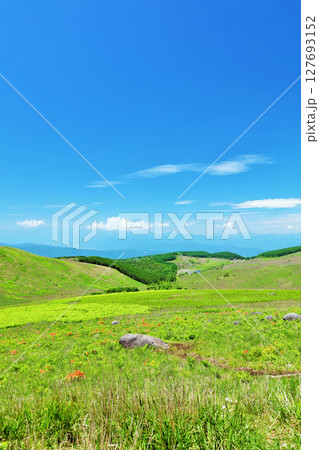 長野県　青空の霧ヶ峰　富士見台展望台からの風景 127693152