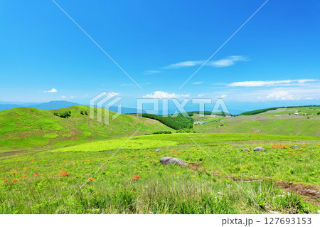 長野県　青空の霧ヶ峰　富士見台展望台からの風景 127693153