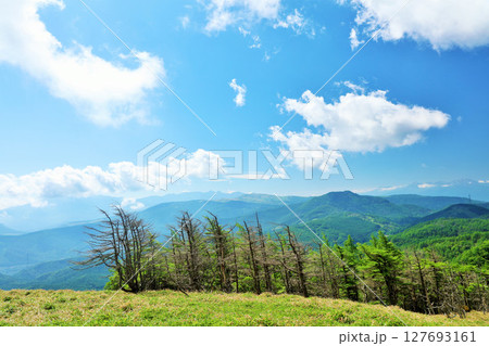 長野県　青空の美ヶ原高原 127693161