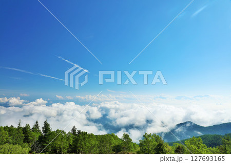 長野県　美ヶ原高原からの青空と雲海風景 127693165
