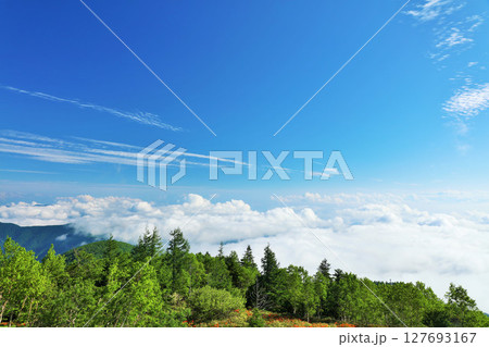 長野県　美ヶ原高原からの青空と雲海風景 127693167