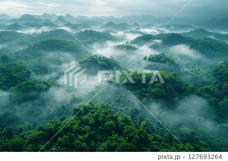 霧に包まれた緑の森 127693264