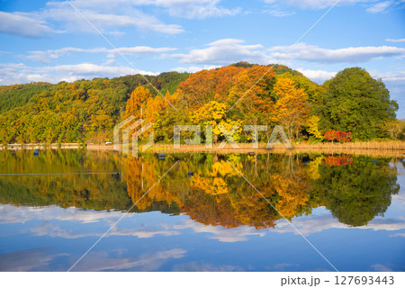 紅葉のリフレクション　千代田湖 127693443