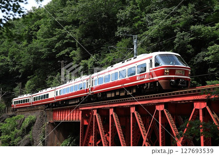 【南海】30000系 特急「こうや」（高野線：九度山〜高野下） 127693539