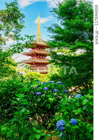 東京都日野市 高幡不動尊あじさいまつり 2025 東京都日野市 高幡不動尊あじさいまつり 2025 127694808