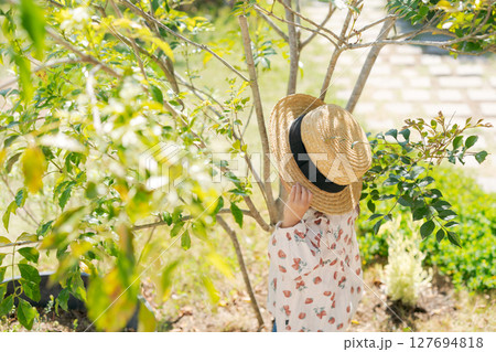 麦わら帽子をかぶった女の子 127694818