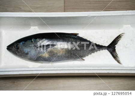 新鮮なクロマグロ	 127695054