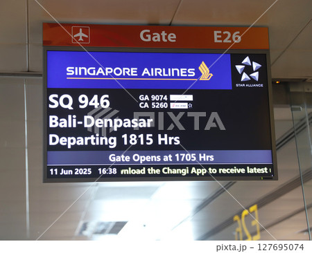 シンガポール　チャンギ国際空港 127695074