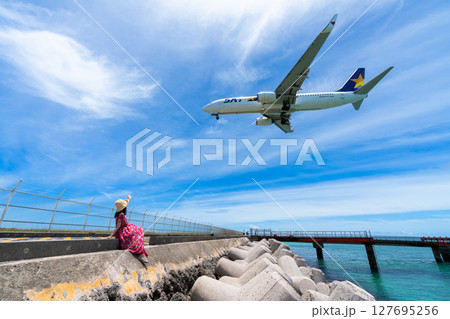 大迫力の旅客機　17endビーチと飛行機 127695256