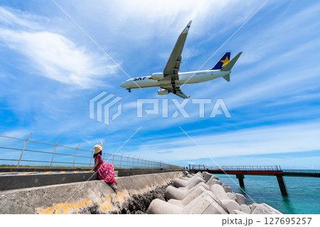 大迫力の旅客機　17endビーチと飛行機 127695257