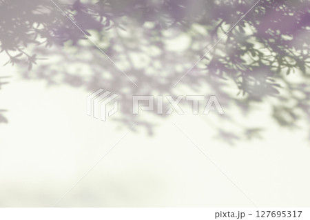 Background with plant shadows and copy space 127695317