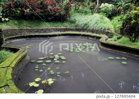 インドネシア　バリ島　ウブド　ゴアガジャ遺跡 127695604