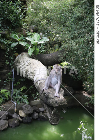 バリ島　ウブド　モンキーフォレスト　サレン・アグン寺院 127696408