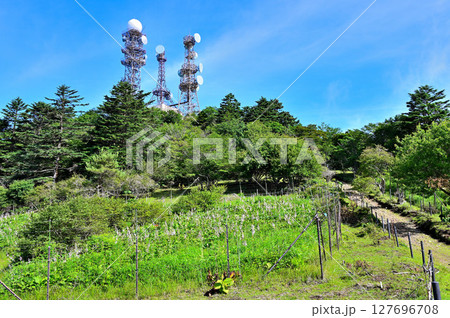 御坂山地　夏の三ツ峠山　御巣鷹山 127696708