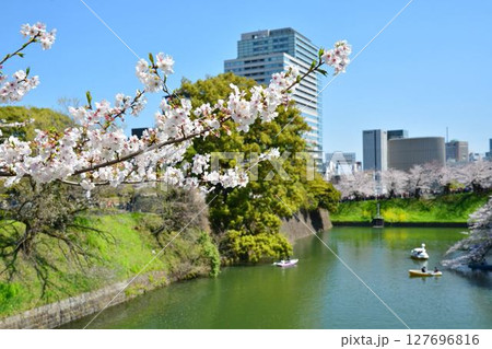 皇居　千鳥ヶ淵の桜 127696816