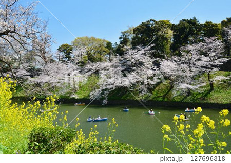 皇居　千鳥ヶ淵の桜 127696818