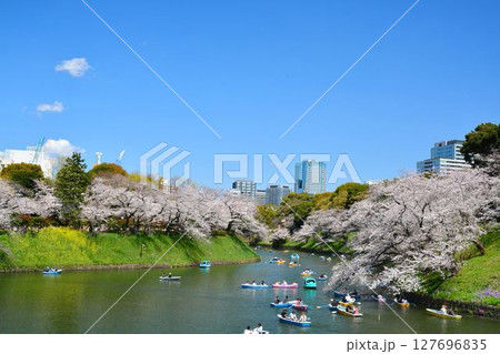 皇居　千鳥ヶ淵の桜 127696835