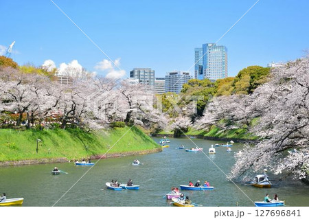 皇居 千鳥ヶ淵の桜 皇居 千鳥ヶ淵の桜 127696841