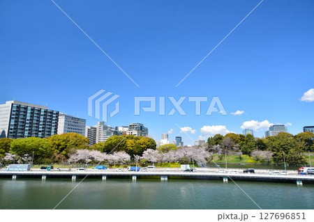 皇居 千鳥ヶ淵の桜 皇居 千鳥ヶ淵の桜 127696851