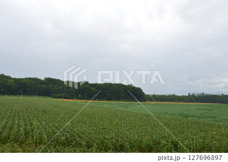 JR北海道、根室本線の新得駅から帯広駅までの普通列車風景(2023年夏) 127696897