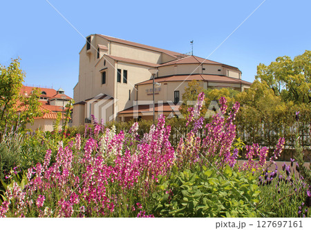 花の道から見た宝塚歌劇 127697161