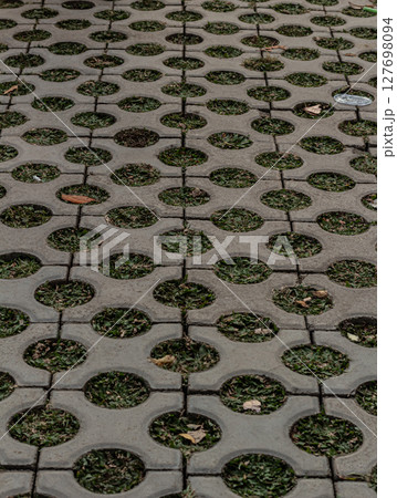 Eco Friendly Pavement - Grass Growing Through Concrete Interlocking Blocks Eco Friendly Pavement - Grass Growing Through Concrete Interlocking Blocks 127698094