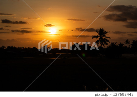 Golden Sunset Over Rural Landscape Silhouette 127698445