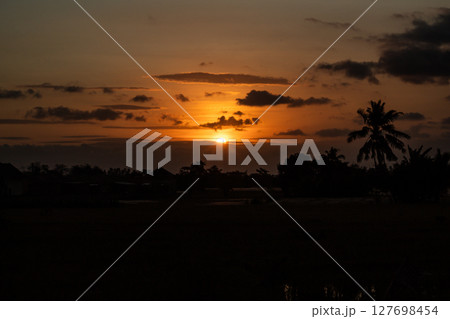 Golden Sunset Through Silhouetted Grass and Trees Golden Sunset Through Silhouetted Grass and Trees 127698454