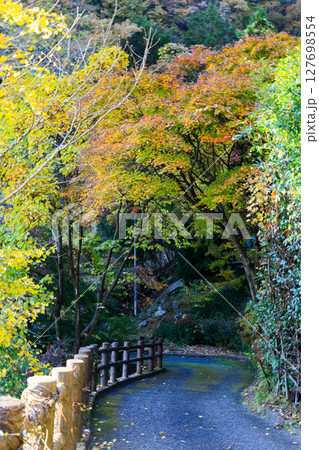 国の特別名勝　紅葉の昇仙峡荒川源流の散策路 127698554