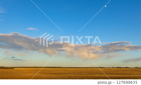 Freshly Seeded Field, Trees, Rainy Spring Sky Freshly Seeded Field, Trees, Rainy Spring Sky 127698635