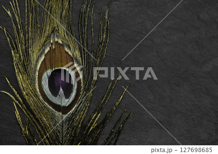 Golden peacock feather on black stone background Golden peacock feather on black stone background 127698685