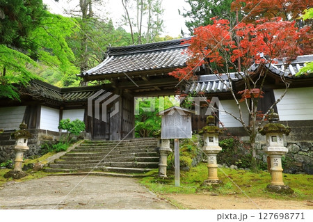 新緑の西明寺 127698771