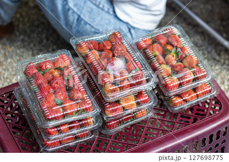 Fresh Strawberries Packed for Sale Fresh Strawberries Packed for Sale 127698775