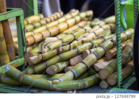 Fresh Sugarcane Stalks for Juice Production Fresh Sugarcane Stalks for Juice Production 127698799