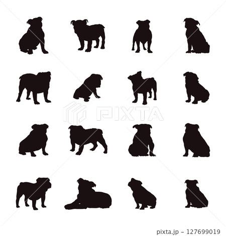 English bulldog silhouettes 127699019