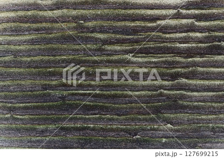 鉄平石風外壁のテクスチャー2 127699215