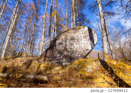 小楢山の的石 127699412