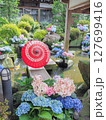 雨引観音の紫陽花和傘（茨城県桜川市） 127699416